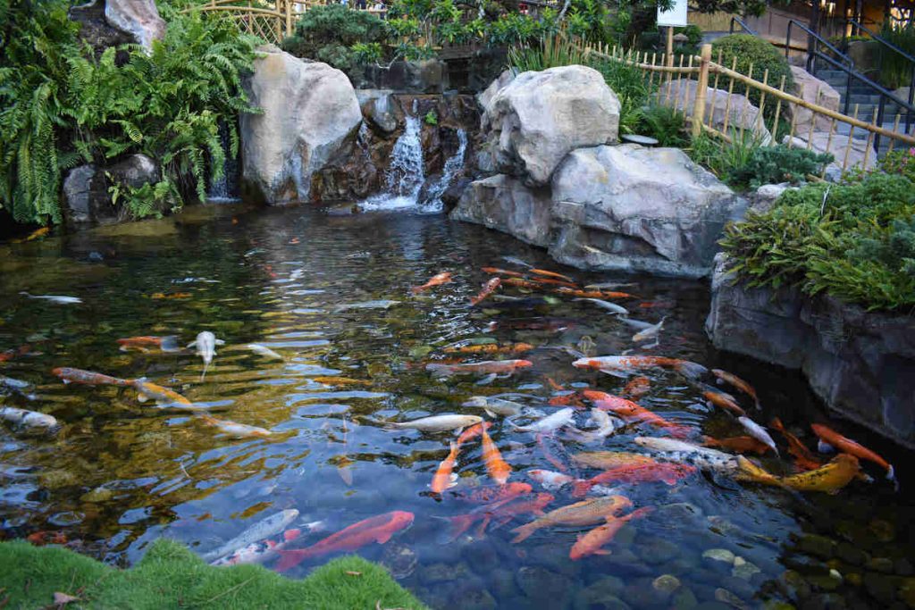 Les parcs animaliers et aquariums en Lozère