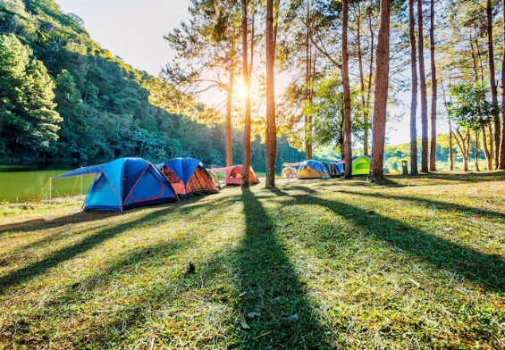 Location d'emplacement camping